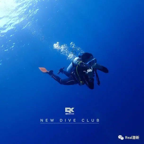 僵尸女友爱爬树